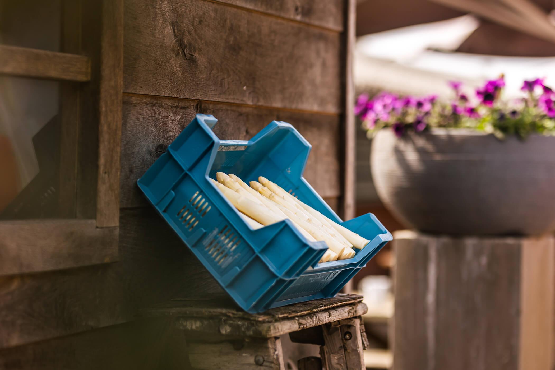 Asperges in blauwe bak tegen houten tuinhuis